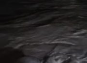 Sungai Batang Serangan Meluap, Warga Bantaran Sungai Diminta Siaga Banjir