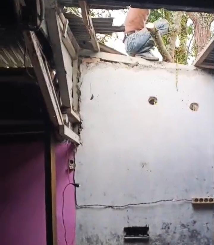 Penebangan Pohon Desa Gohor Lama Sebabkan Kerusakan Rumah Warga hingga TV