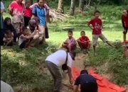 Warga Dihebohkan Penemuan Mayat Bayi di Perkebunan Sungai Gergas Wampu