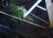 Angin Kencang Picu Listrik Padam di Stabat saat Malam ke-10 Ramadan, PLN Sampaikan Permohonan Maaf