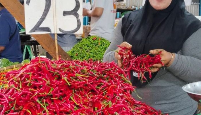 Harga Pupuk Kembali Naik, Dampak Konflik Global Dorong Kenaikan Harga Cabai dan Bawang