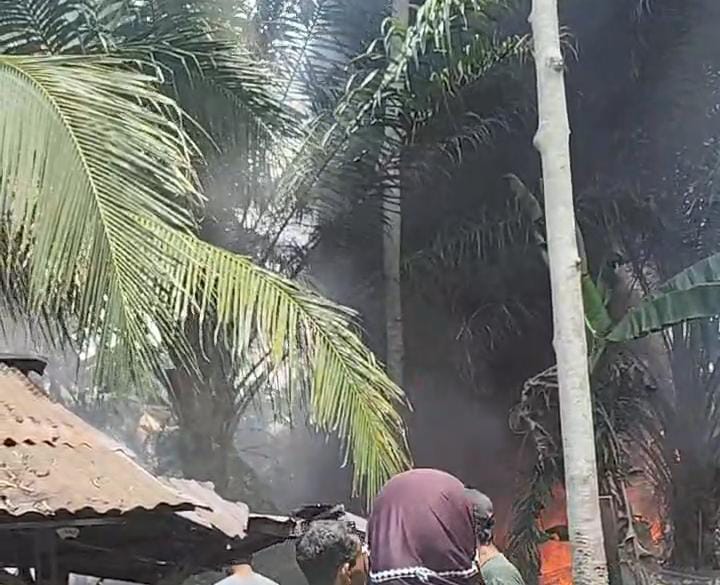 Kebakaran di Langkat