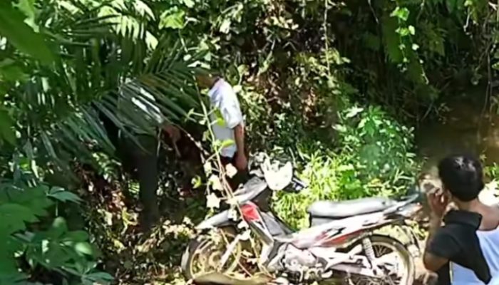 Kecelakaan Lebaran Pertama, Sepeda Motor Berbonceng Tiga Masuk Jurang di Salapian