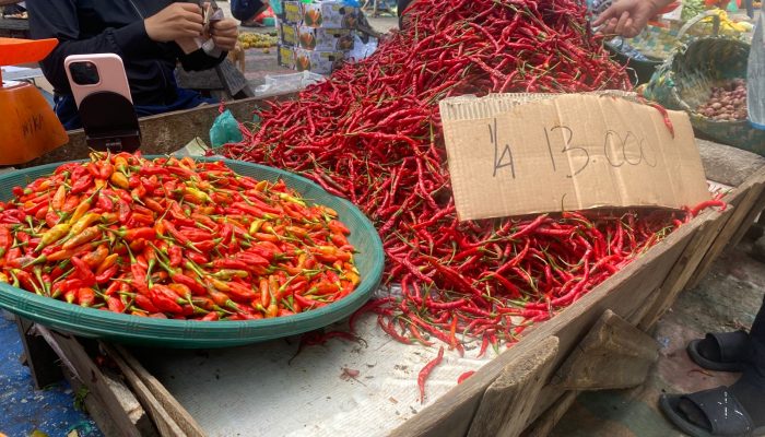 Harga Cabai Merah Anjlok Usai Lebaran, Petani Tertekan Akibat Panen Serentak dan Lonjakan Pasokan