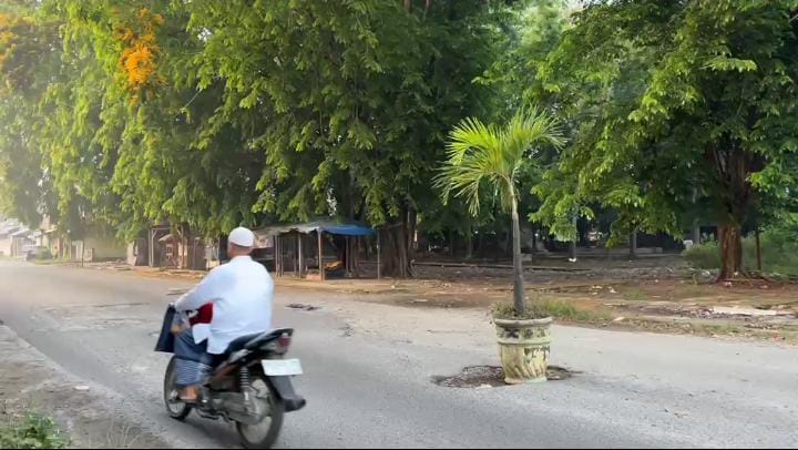 Jalan Rusak di Jalan Hang Tuah Stabat, Tanam Pohon Pinang 