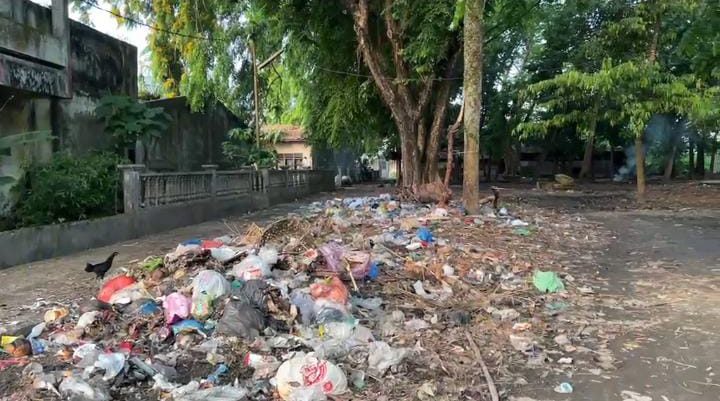 Warga Tanam Pohon di Jalan Rusak di Jalan Hang Tuah Stabat