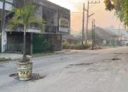 Warga Tanam Pohon di Tengah Jalan Rusak, Bupati Langkat akan Tindaklanjuti Keluhan