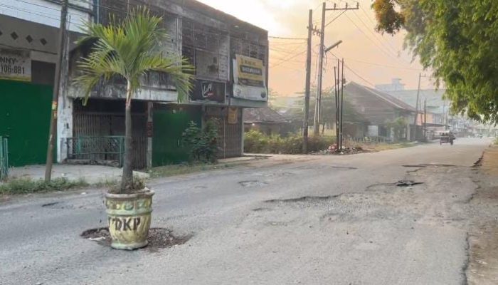 Warga Tanam Pohon di Tengah Jalan Rusak, Bupati Langkat akan Tindaklanjuti Keluhan