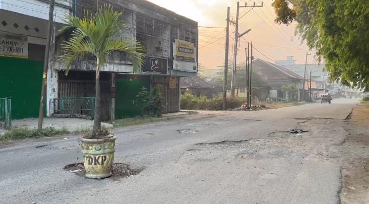 Warga Tanam Pohon di Tengah Jalan Rusak