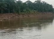 Aktivitas Galian C di Sepanjang Sungai Wampu