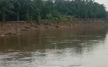 Aktivitas Galian C di Sepanjang Sungai Wampu