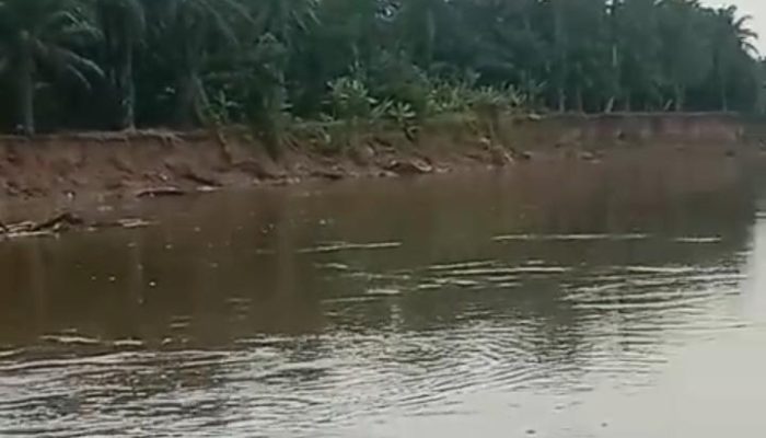 Aktivitas Galian C di Sepanjang Sungai Wampu Diduga Picu Erosi dan Pelebaran Bantaran