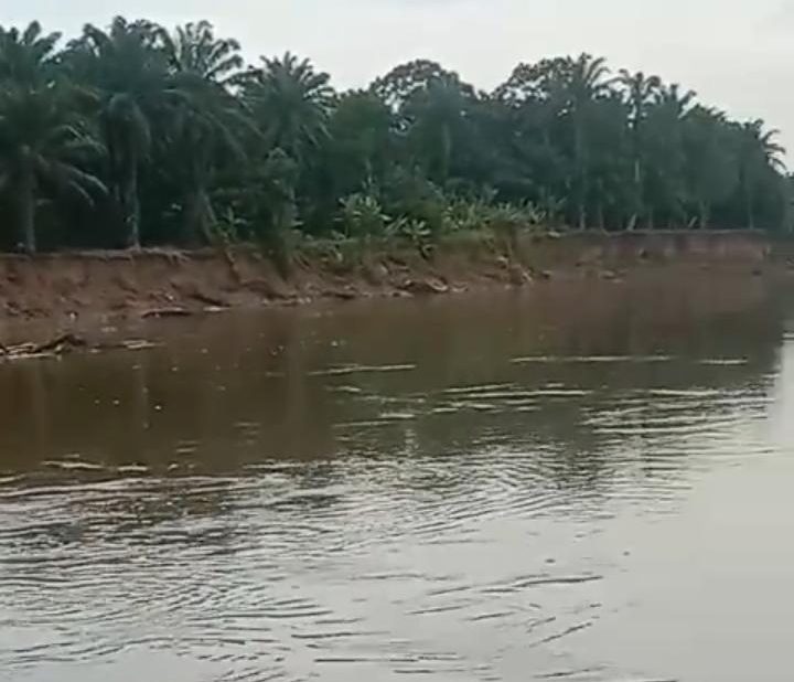 Aktivitas Galian C di Sepanjang Sungai Wampu