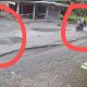 Bermodal CCTV dan Sinergi Warga, Polsek Bahorok Ungkap Pencurian Sepeda Motor Kurang dari 3 Jam Pelaku Merupakan Residivis
