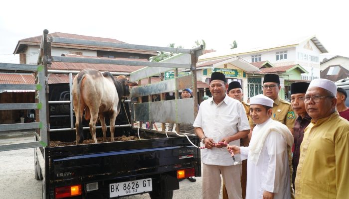 Bupati dan Wakil Bupati Langkat Serahkan 2 Sapi Kurban untuk Masyarakat Besilam