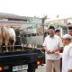 Bupati dan Wakil Bupati Langkat Serahkan 2 Sapi Kurban dan 500 Kg Beras untuk Masyarakat Besilam