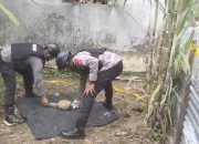 Cangkul Warga Ungkap Ranjau Perang di Langkat