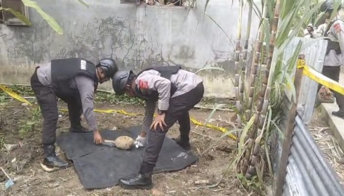Cangkul Petani Ungkap Ranjau Perang di Langkat, Tim Gegana Langsung Jinakkan