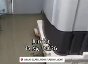 Rumah Warga di Tanjung Selamat Padang Tualang Terendam Banjir