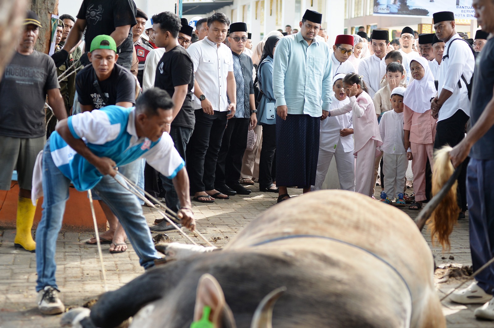Idul Adha di Binjai