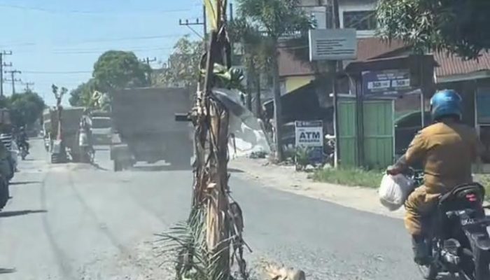 Viral! Warga Tanam Pohon Pisang di Jalan Rusak Kuala Begumit-Sambirejo, Sindir Kondisi Memprihatinkan