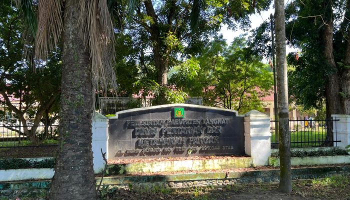 Kadis Pertanian Langkat Bantah Dugaan Selingkuh: Ini Fitnah dan Dendam Pribadi