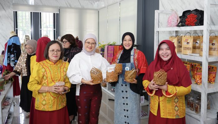 Ketua Dekranasda Binjai Terima Kunjungan APPMI, Jajaki Sinergi Industri Kreatif