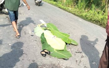 Nahas di Jalan Sawit Sebrang, Mahasiswi Tewas di Tempat Setelah Ditabrak Truk