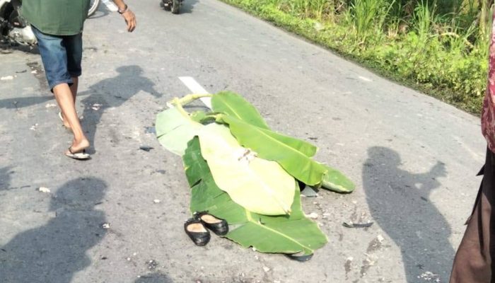 Nahas di Jalan Sawit Sebrang, Mahasiswi Tewas di Tempat Setelah Ditabrak Truk