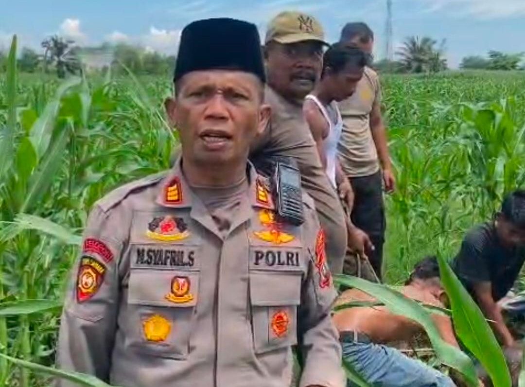 Sapi Kurban Mengamuk dan Lepas