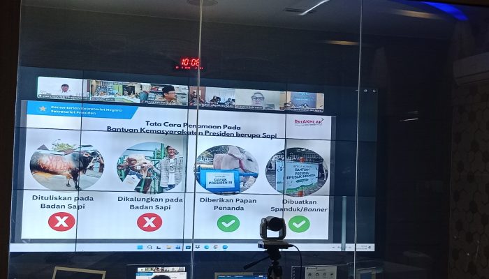 Sekda Binjai Hadiri Serah Terima Sapi Kurban Bantuan Presiden Prabowo untuk Masyarakat