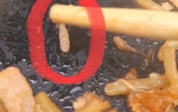 Pengunjung Temukan Ulat di Mie GCN Stabat,