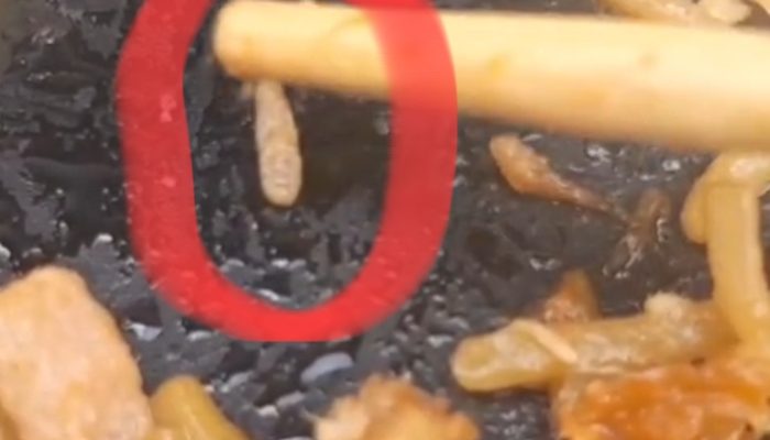 Viral! Pengunjung Temukan Ulat di Mie GCN Stabat, Baru Sadar Setelah Hampir Habis