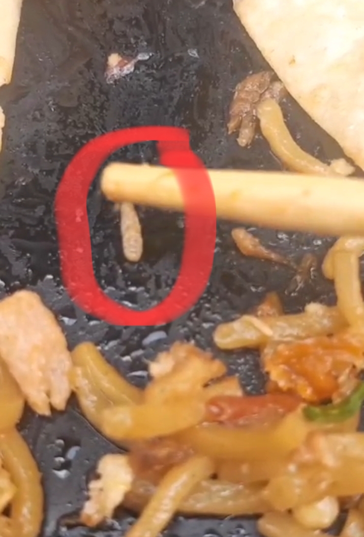 Pengunjung Temukan Ulat di Mie GCN Stabat,