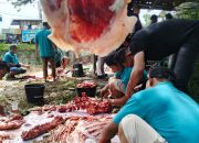 12 Ekor Lembu dan 2 Kambing Dikurbankan, Masjid Nurul Muttaqin Stabat Bagikan 786 Bungkus Daging untuk Masyarakat