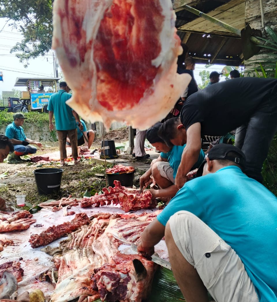 12 Ekor Lembu dan 2 Kambing Dikurbankan