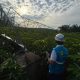 12 Tower Transmisi Rusak Diterjang Cuaca Ekstrem, PLN Kejar Pemulihan Jaringan di Sumut