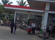 Harga Partamax Naik, Beras di Medan Mahal, Pengamat Ungkap Faktor Penyebabnya