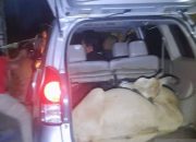 Hendak Curi Ternak, Sepasang Kekasih Gagal Kabur Setelah Mobil Mewah Terperosok ke Parit di Sei Bingai