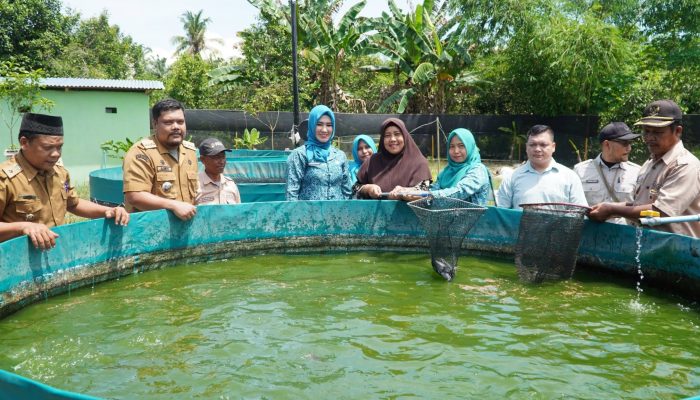 Ny Endang Syah Afandin Mantapkan Desa Perdamaian Menuju Juara Aku Hatinya PKK Sumut