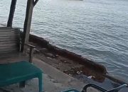Wisatawan Keluhkan Dugaan Parkir Liar di Pelabuhan Pangkalan Susu, Minta Pemkab Langkat Bertindak