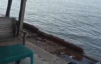 Wisatawan Keluhkan Dugaan Parkir Liar di Pelabuhan Pangkalan Susu, Minta Pemkab Langkat Bertindak