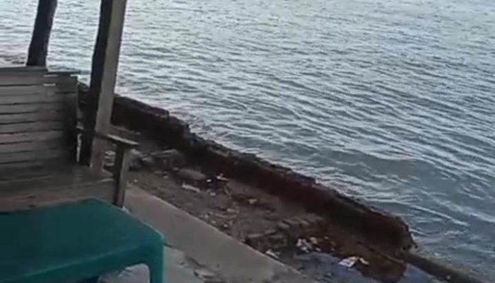 Wisatawan Keluhkan Dugaan Parkir Liar di Pelabuhan Pangkalan Susu, Minta Pemkab Langkat Bertindak