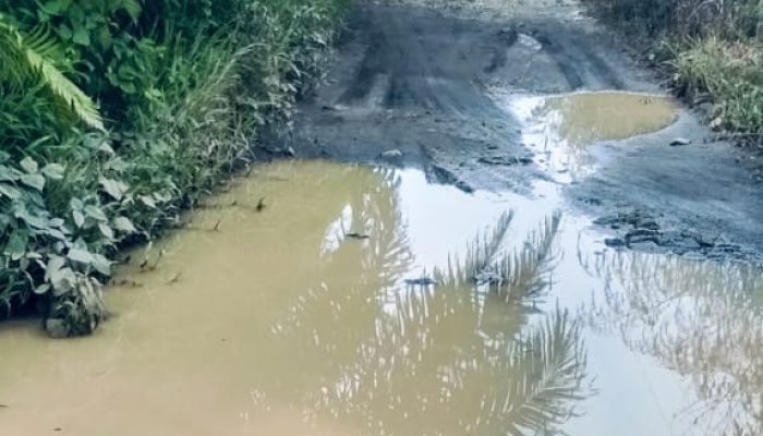 56 Tahun Menanti, Warga Mejuah-Juah Kuala Minta Plt Bupati Langkat Akhiri Derita Jalan Rusak