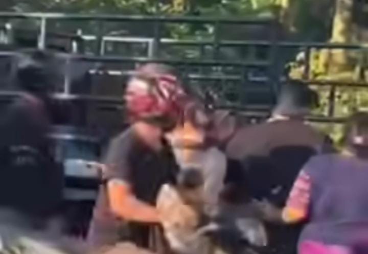 Kecelakaan Lalu Lintas di di Simpang Pante Pakam Stabat