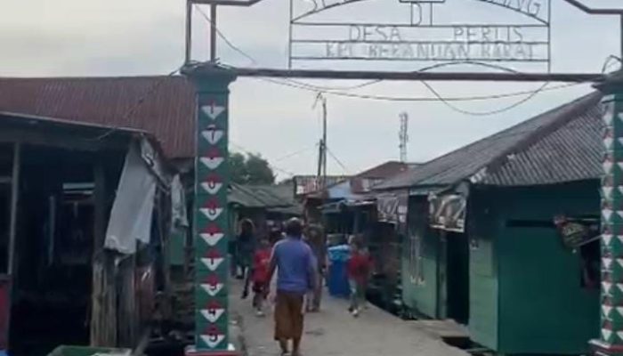 Menguak Sejarah Desa Perlis Langkat, Berawal dari Kampung Nelayan Kini Dihuni Ribuan Warga 
