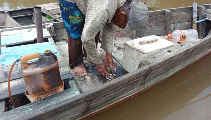 Demi Menghidupi Keluarga, Nelayan Rajungan Langkat Bertahan Melaut Meski Hasil Tangkapan Terus Menurun