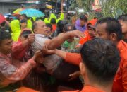 Pohon Tumbang Lukai Pedagang Bakso