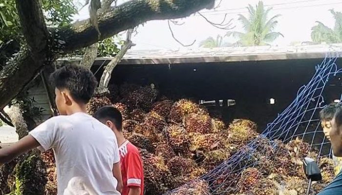 Truk Pengangkut Sawit Terbalik di Paluh Manis Gebang, Satu Orang Dilaporkan Meninggal Dunia