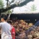 Truk Pengangkut Sawit Terbalik di Paluh Manis Gebang